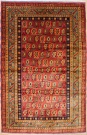 R6715 New Caucasian Shirvan Rug