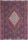 R2670 Persian Senneh Kilim Rug